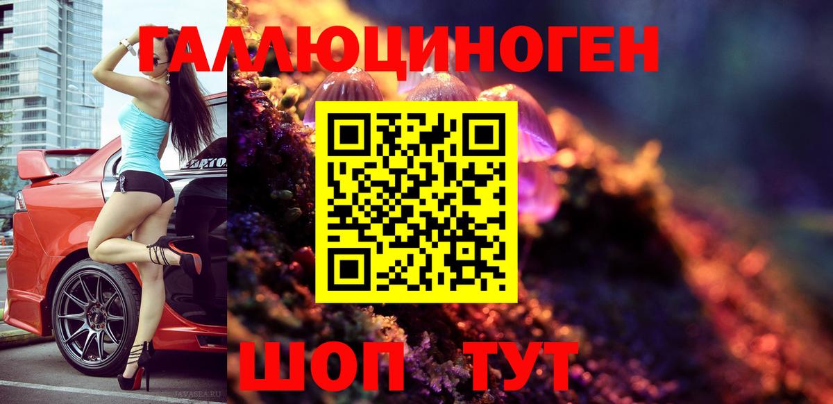 Псилоцибиновые грибы прущие грибы  где можно купить   Солнечногорск  Галлюциногенные грибы MAGIC MUSHROOMS  Вход с VPN 
