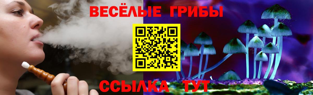 Галлюциногенные грибы Psilocybe Солнечногорск